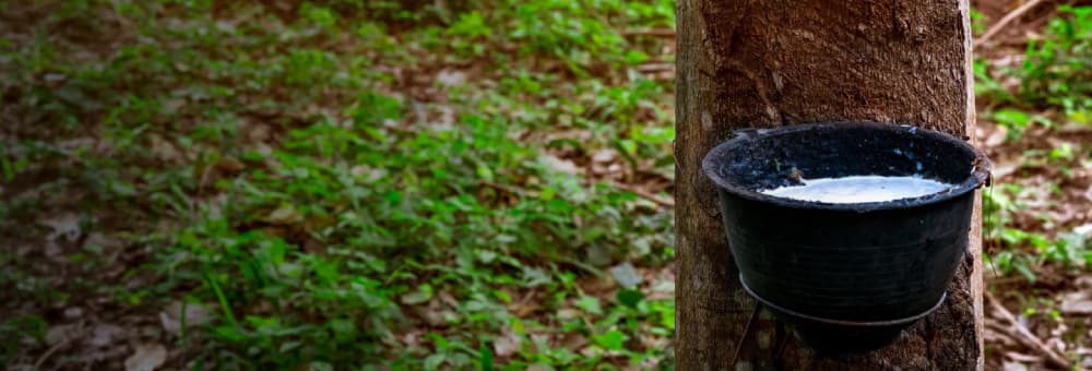 Banner website Soha Tradings